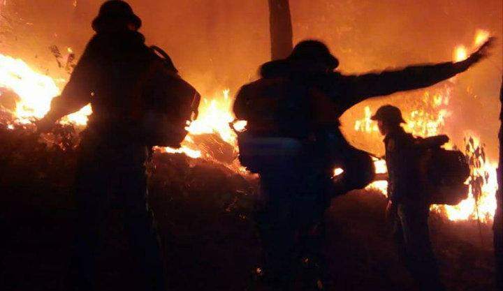 Lửa thiêu rụi hàng chục hecta rừng ở Nghệ An - 2