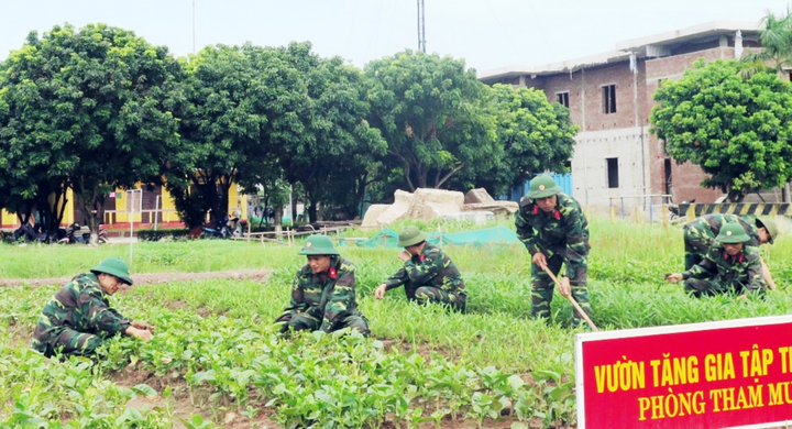 Người có chức vụ trong quân đội không được lập công ty trong 1 năm sau thôi chức - 1