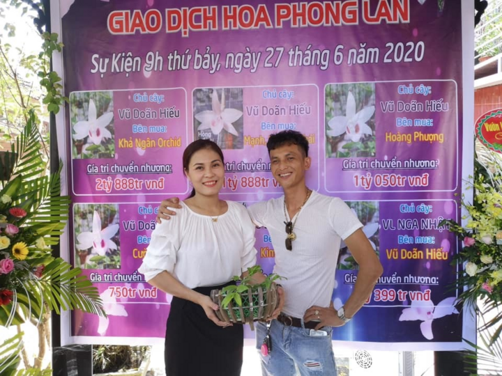 Phiên chợ hoa lan Bạch Tuyết 8 tỷ đồng ở Vĩnh Phúc - 2