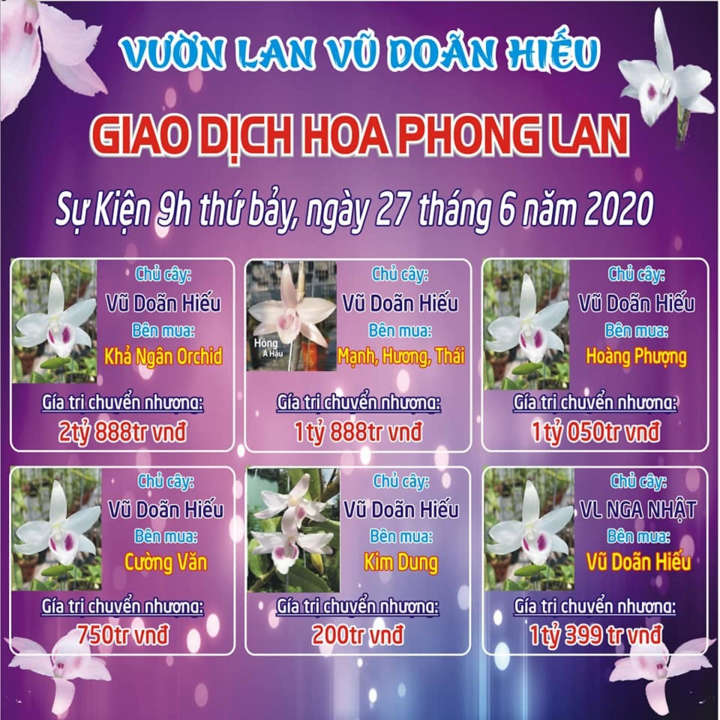 Phiên chợ hoa lan Bạch Tuyết 8 tỷ đồng ở Vĩnh Phúc - 1