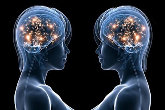 Chú ngựa biết làm toán từng khiến châu Âu ngạc nhiên - 1