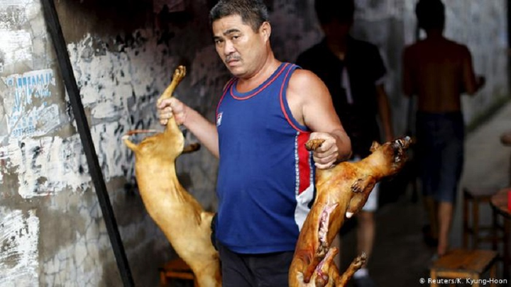 Trung Quốc: Mặc lên án, lễ hội thịt chó vẫn nườm nượp người giữa đại dịch - 6