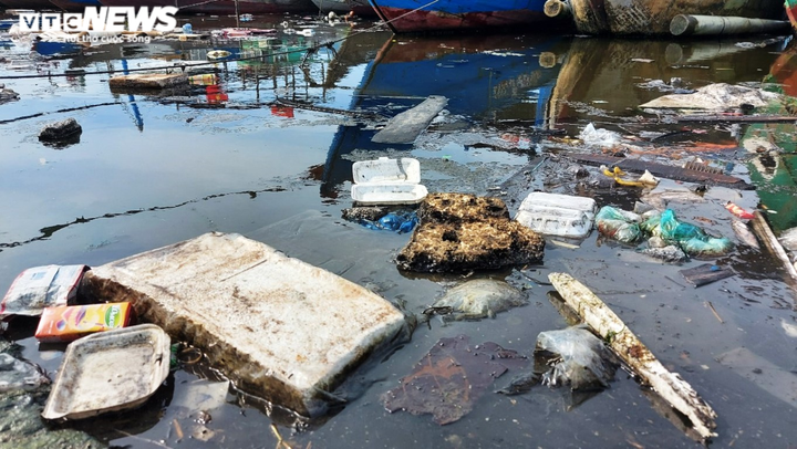 Kinh hãi rác thải hôi thối, bủa vây âu thuyền Thọ Quang ở Đà Nẵng - 6