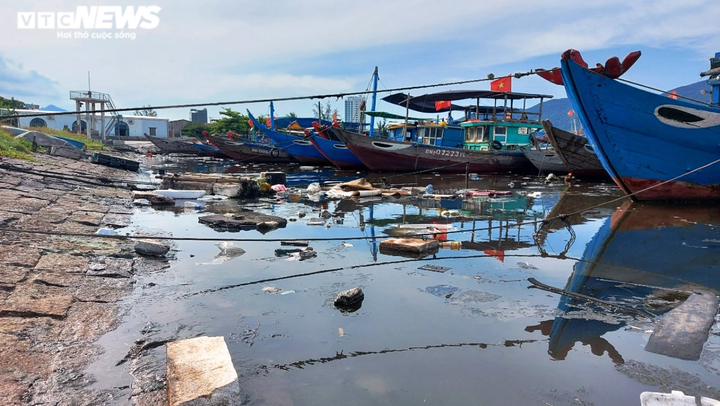 Kinh hãi rác thải hôi thối, bủa vây âu thuyền Thọ Quang ở Đà Nẵng - 4