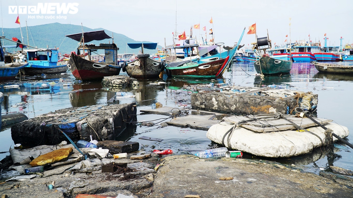 Kinh hãi rác thải hôi thối, bủa vây âu thuyền Thọ Quang ở Đà Nẵng - 5