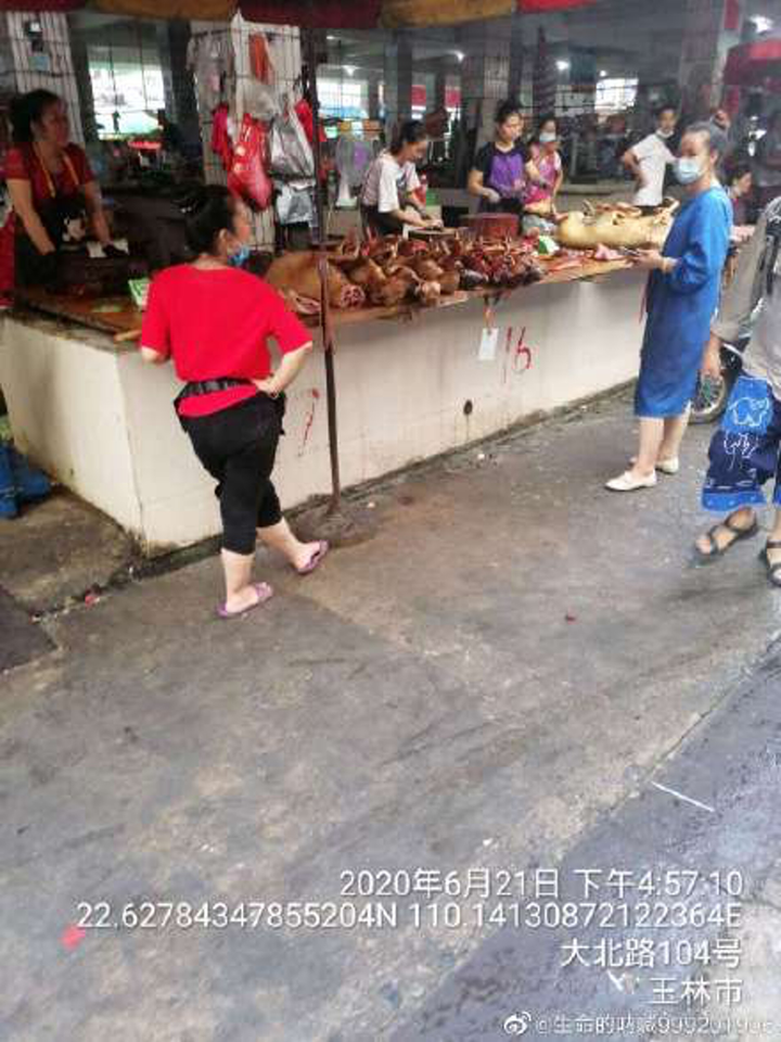 Trung Quốc: Mặc lên án, lễ hội thịt chó vẫn nườm nượp người giữa đại dịch - 10