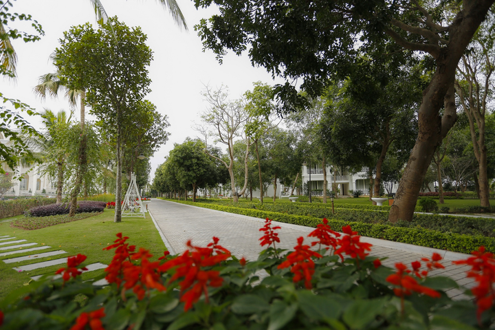 Trải nghiệm Yoga khác biệt tại những khu nghỉ dưỡng hàng đầu Việt Nam - 7