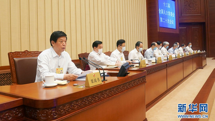 Quốc hội Trung Quốc thông qua luật an ninh Hong Kong - 1