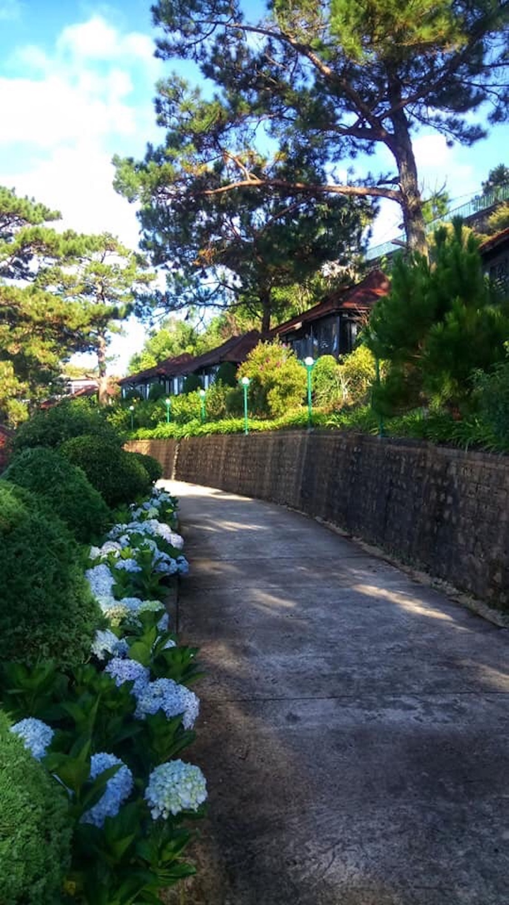 Đà Lạt tháng 12 - 3