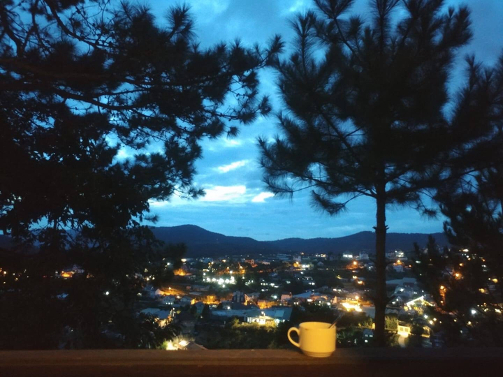 Đà Lạt tháng 12 - 10