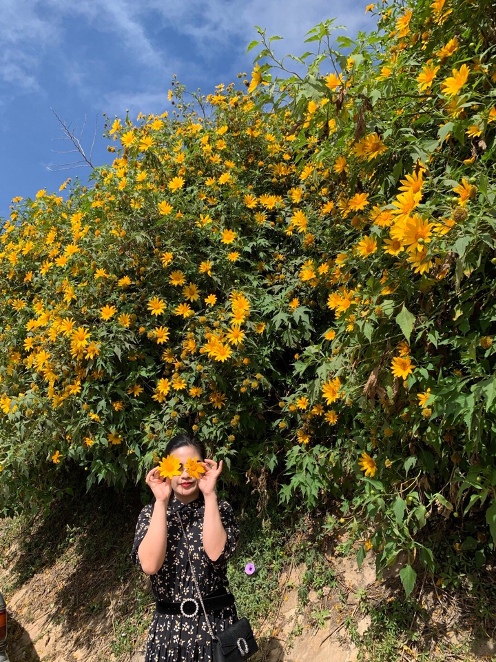 Đà Lạt tháng 12 - 6