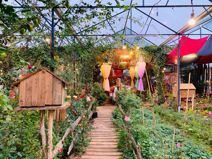 Đà Lạt tháng 12 - 4