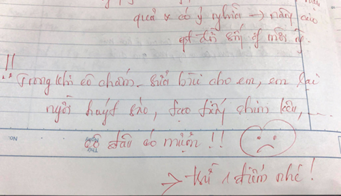 Cô giáo bá đạo trừ điểm kiểm tra vì... tiếng chim kêu - 1