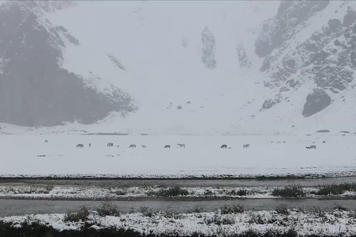 Loạt tai ương tấn công Trung Quốc: Dịch bệnh, lũ lụt, mưa đá, tuyết giữa mùa hè - 2