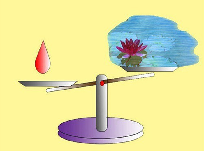 2 cô ruột keo kiệt, tham lam, tôi thấy giọt máu đào chẳng bằng ao nước lã - 1