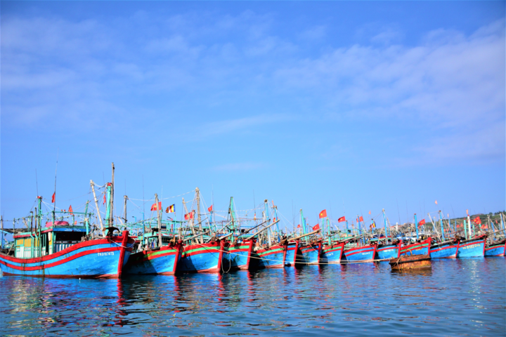 Bạch Long Vĩ: Hòn đảo xinh đẹp giữa biển khơi - 3