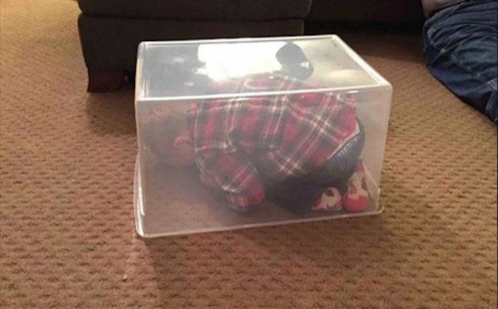 Bé yêu 'giấu đầu hở đuôi' khi chơi trốn tìm - 5