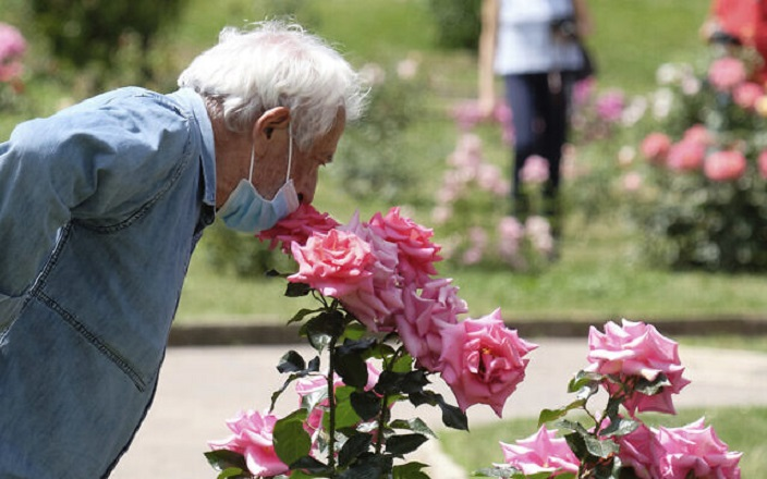 Cực hình đối với bệnh nhân mắc COVID-19: Mất khả năng cảm nhận mùi - 1