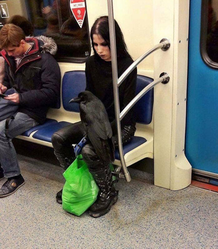 Những vị khách quái dị trên tàu điện - 2