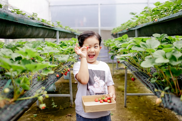 Khánh Thi - Phan Hiển khéo léo phủ nhận tin đồn hôn nhân rạn nứt - 10