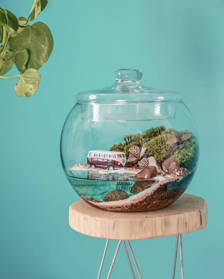 'Nhốt' vườn cây vào chai thuỷ tinh, 2 cô gái nổi danh trên mạng - 8