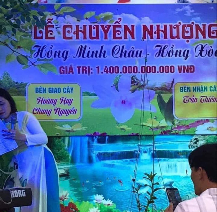 Náo loạn giao dịch hoa lan vài chục tỷ đồng: Làm giàu nhanh hơn buôn đất? - 2