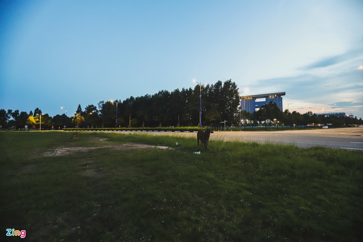 Thành phố mới Bình Dương vẫn vắng bóng người sau 10 năm - 15