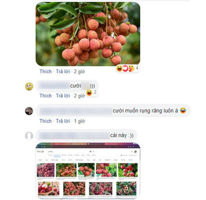 Người đàn ông Mỹ hoang mang vì nhặt được vỏ vải thiều - 2