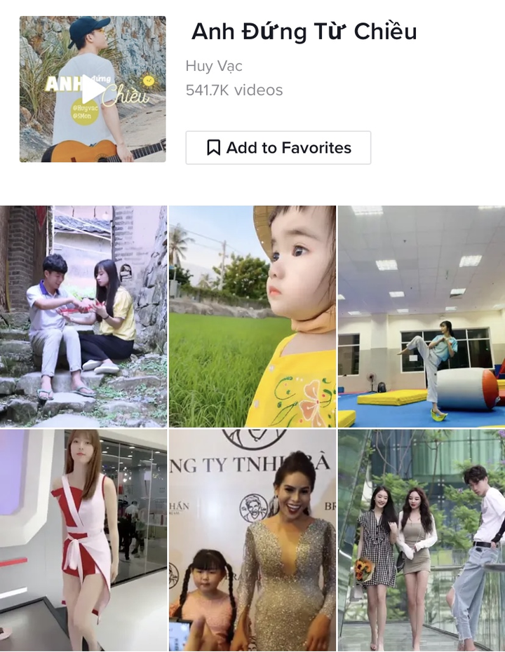 Những xu hướng hàng đầu hút giới trẻ trên mạng xã hội TikTok - 9