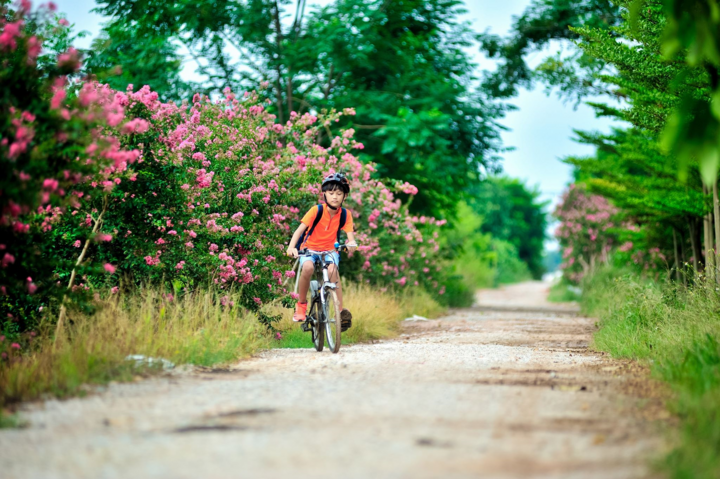 Du ngoạn Hà Nội bằng ... xe đạp - 8