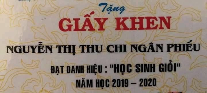 Tên dài có một không hai của nữ sinh trên giấy khen khiến dân mạng xôn xao - 1