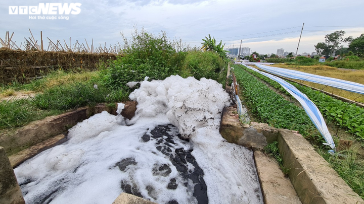 Nông dân tưới rau bằng nước thải ô nhiễm: Chủ tịch TP Bắc Ninh chỉ đạo xử lý - 4