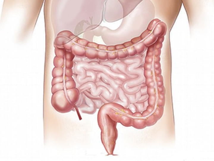 Uống nước vào buổi sáng khi bụng đói, cơ thể bạn sẽ ra sao? - 3