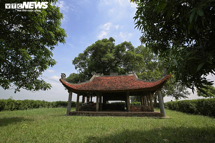 Độc đáo xóm 'Bảy Ngoẹo' đi vào rồi khó tìm được lối ra - 1