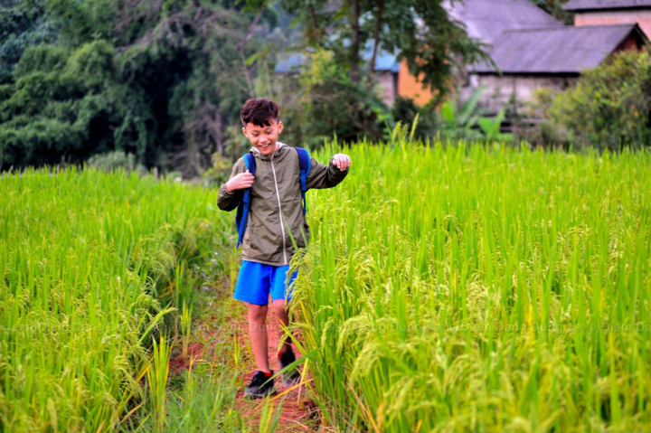 Mùa vàng rực rỡ của Y Tý - 5