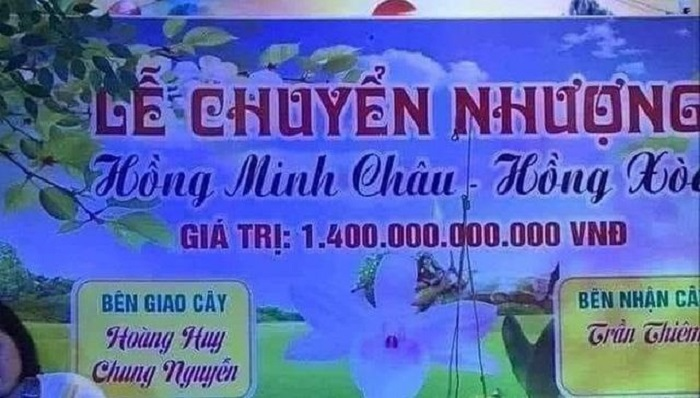 Giao dịch tiền tỷ mua lan quý có phải nộp thuế? - 1