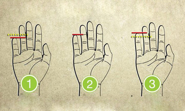 Chiều dài ngón tay út tiết lộ bí mật gì về nội tâm của bạn? - 1