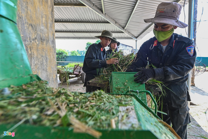 Cận cảnh kỵ binh CSCĐ thuần dưỡng ngựa nơi thao trường đầy nắng gắt - 11