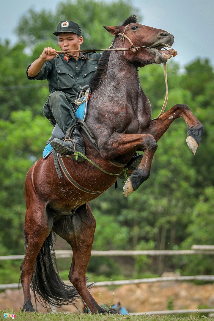 Cận cảnh kỵ binh CSCĐ thuần dưỡng ngựa nơi thao trường đầy nắng gắt - 8