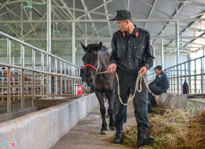 Xem cảnh sát cơ động thuần hóa ngựa chiến bất kham - 1