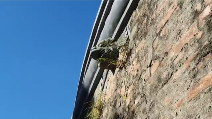 Bên trong đấu trường mãnh thú độc nhất vô nhị còn tồn tại ở Việt Nam có gì? - 12