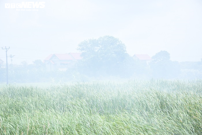 Bãi rác cháy âm ỉ gần khu dân cư, hàng trăm người phải bịt khẩu trang ngày đêm - 1