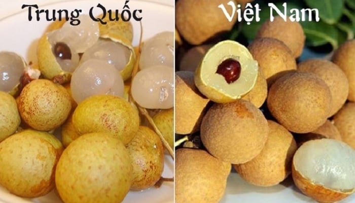 Cách phân biệt 5 loại trái cây Trung Quốc với hàng Việt Nam - 4