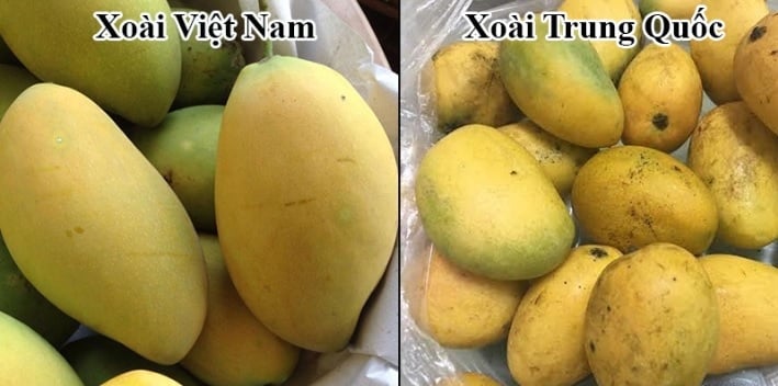 Cách phân biệt 5 loại trái cây Trung Quốc với hàng Việt Nam - 5