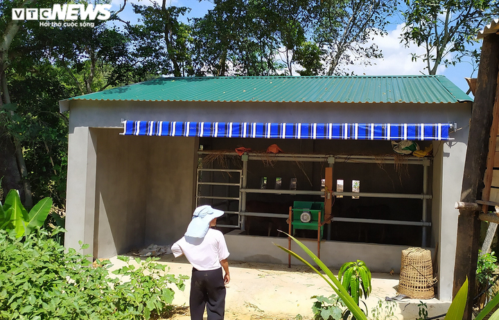 'Biệt thự' cho bò giá hơn 200 triệu đồng ở Nghệ An có gì đặc biệt? - 5