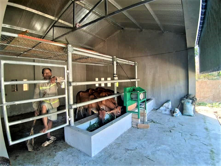 'Biệt thự' cho bò giá hơn 200 triệu đồng ở Nghệ An có gì đặc biệt? - 8