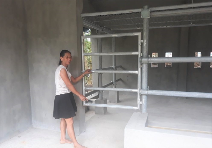 'Biệt thự' cho bò giá hơn 200 triệu đồng ở Nghệ An có gì đặc biệt? - 7