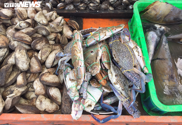 Ghẹ xanh giá 'rẻ như bèo' bán đầy lề đường ở TP.HCM - 3