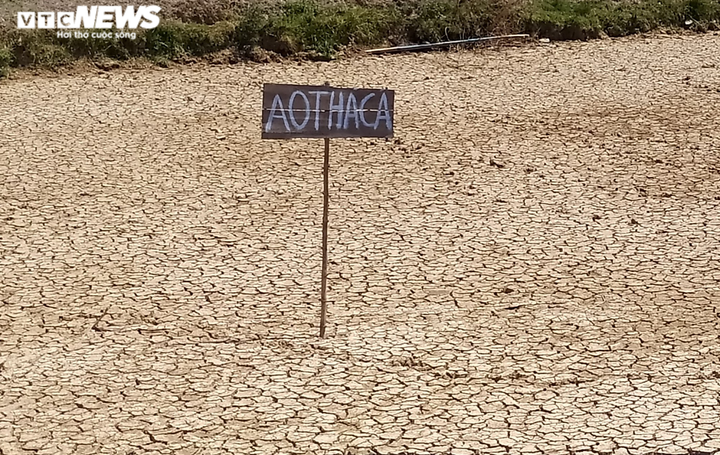 Nghệ An hạn hán kỷ lục 50 năm qua: Hơn 70 ngày không có mưa - 2