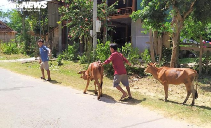 Vì sao cán bộ phòng chính sách của Ban Dân tộc tỉnh Nghệ An bị bắt? - 2